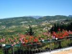 Valpolicella/Gardameer,  apartement in de natuur